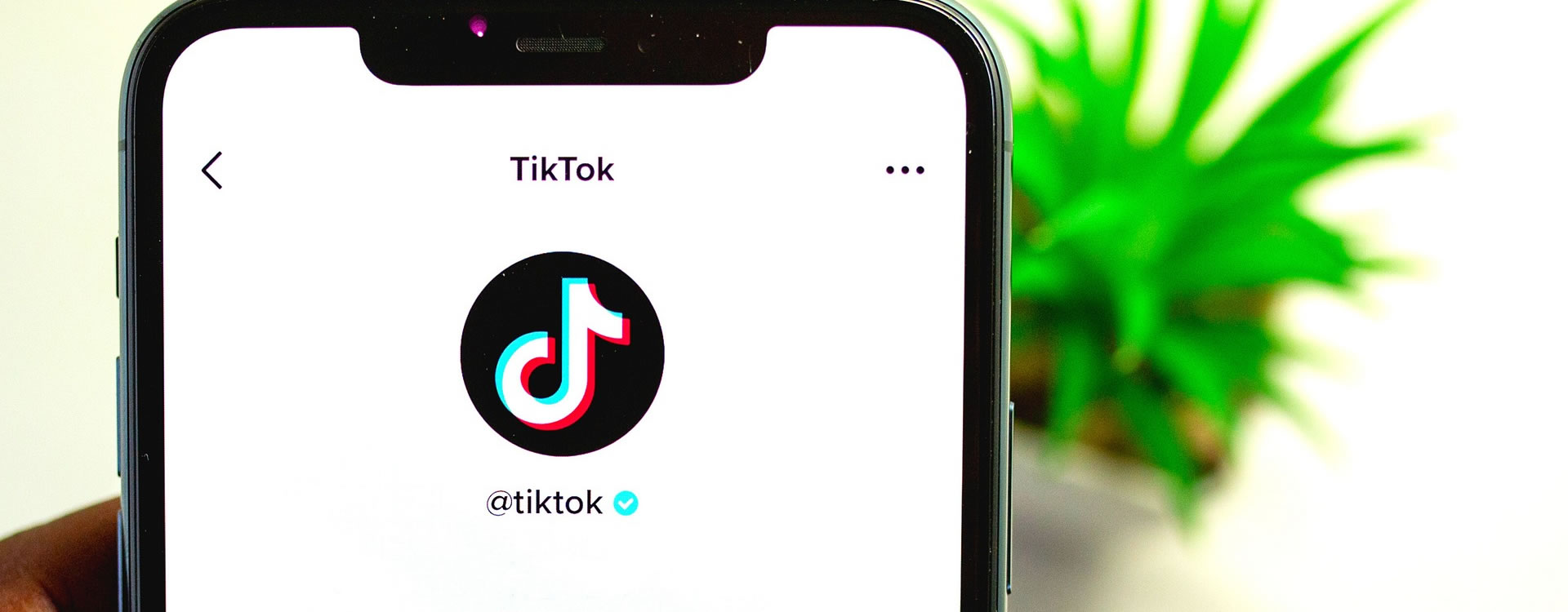 Como funciona o TikTok
